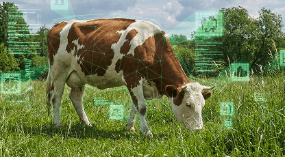 REGAGRO ID (Livestock)